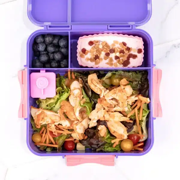 Little Lunch Box - קופסת בנטו מחולקת 3+ תאים - Grape