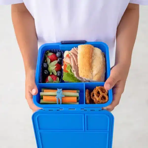 Little Lunch Box - קופסת בנטו מחולקת 3 תאים - Blueberry