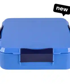 Little Lunch Box - קופסת בנטו מחולקת 3+ תאים - Blueberry